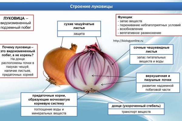 Рабочая ссылка кракен маркетплейс